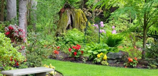 Zaprojektuj ogród na wiosnę